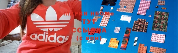 индика Аркадак