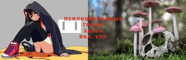 индика Аркадак