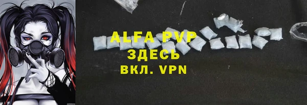 индика Аркадак