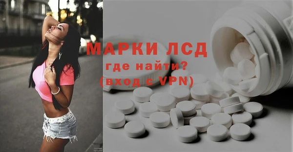 индика Аркадак