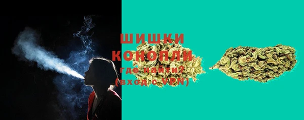 индика Аркадак