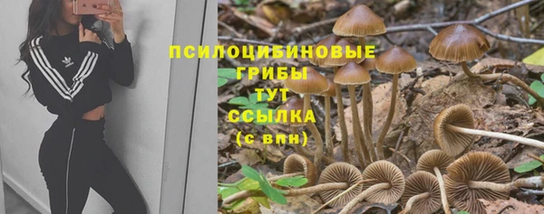 ALPHA PVP Армянск