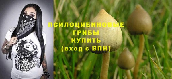 ALPHA PVP Армянск