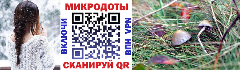 Купить закладки  Верхнеуральск  Псилоцибиновые грибы прущие грибы 
